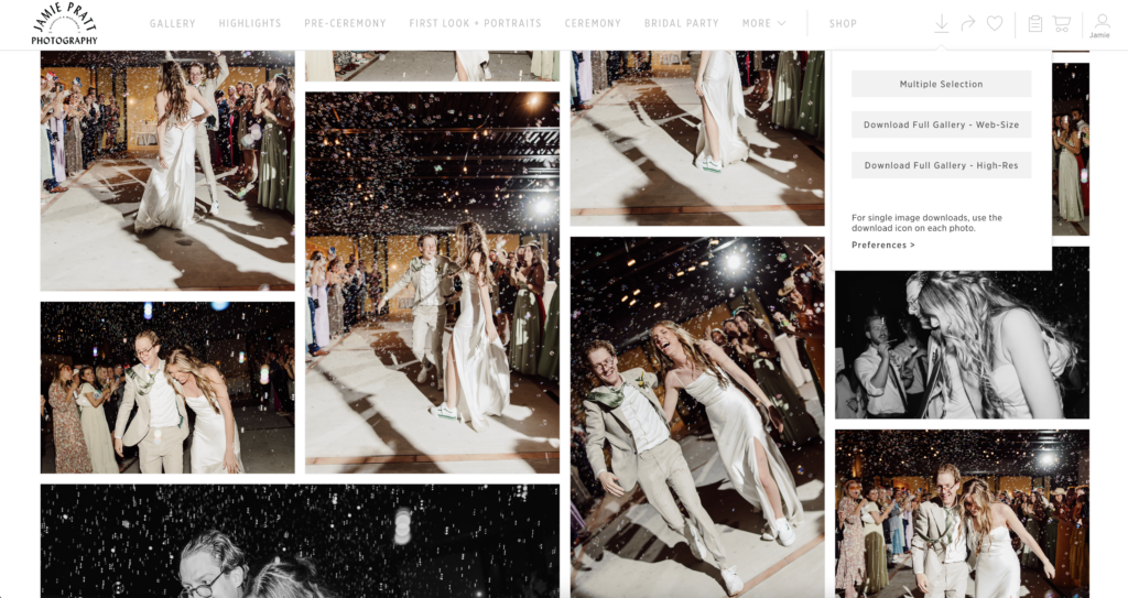 How to save your wedding photos - screenshot of download selection in a wedding gallery 